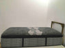 Product Image - Damaged
