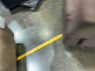 Product Image - Damaged