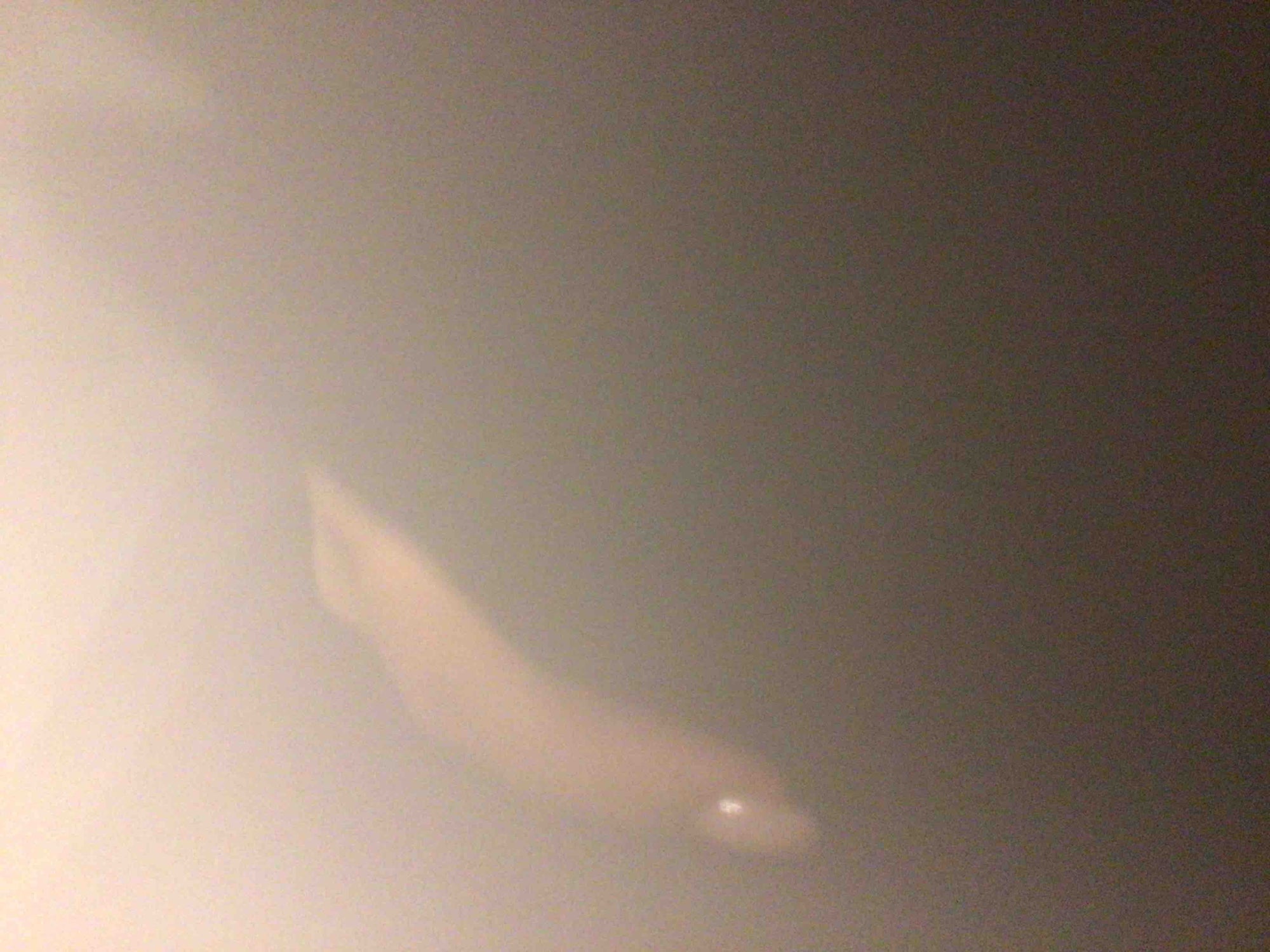 Product Image - Damaged