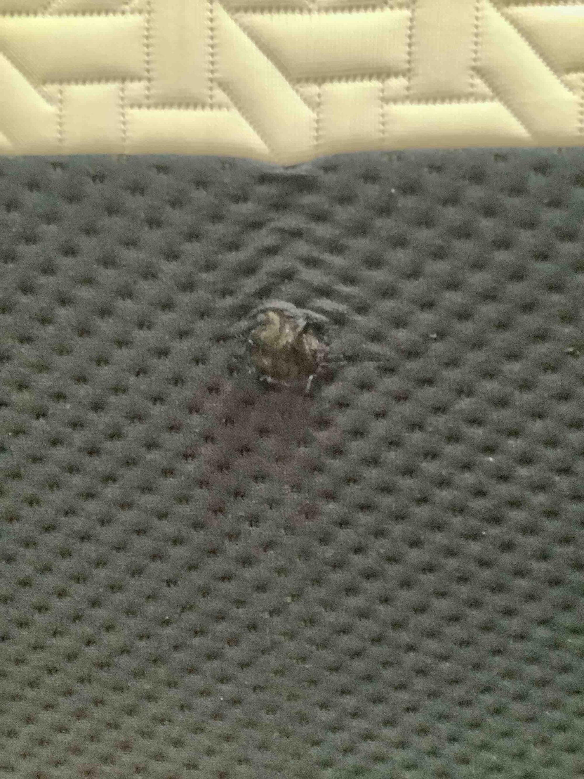 Product Image - Damaged