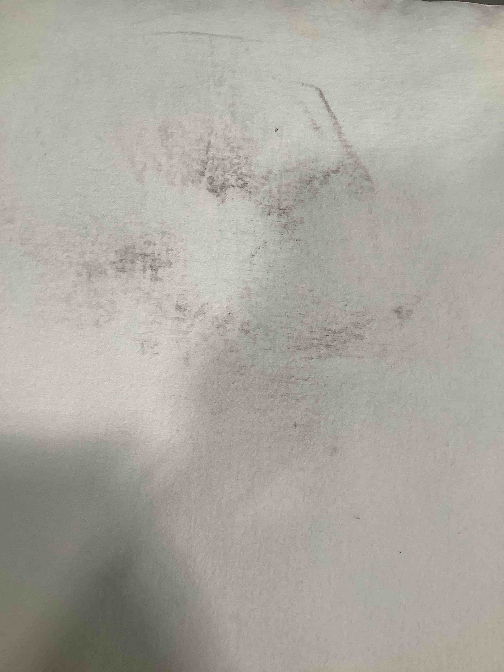 Product Image - Damaged