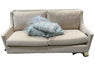 Product Image - Damaged