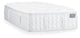 Aireloom Timeless Odyssey Luxetop M1 Plush 15.5